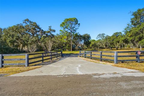 Tiny photo for 340 N Hedrick Avenue, Lecanto, FL 34461 (MLS # TB8463363)