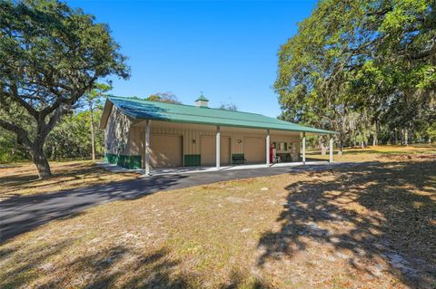 Tiny photo for 340 N Hedrick Avenue, Lecanto, FL 34461 (MLS # TB8463363)