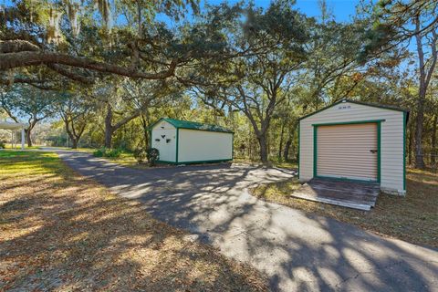 Tiny photo for 340 N Hedrick Avenue, Lecanto, FL 34461 (MLS # TB8463363)