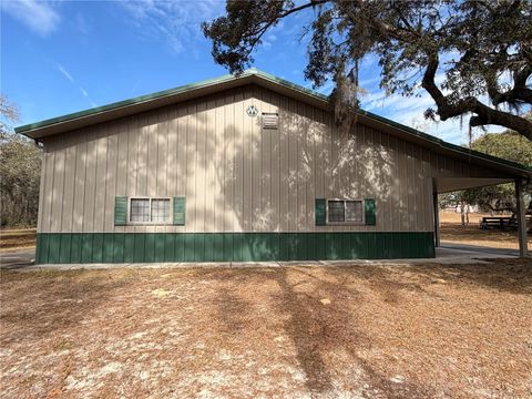 Tiny photo for 340 N Hedrick Avenue, Lecanto, FL 34461 (MLS # TB8463363)