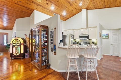 Tiny photo for 340 N Hedrick Avenue, Lecanto, FL 34461 (MLS # TB8463363)