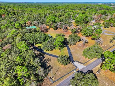 Tiny photo for 340 N Hedrick Avenue, Lecanto, FL 34461 (MLS # TB8463363)