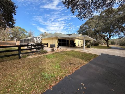 Tiny photo for 340 N Hedrick Avenue, Lecanto, FL 34461 (MLS # TB8463363)