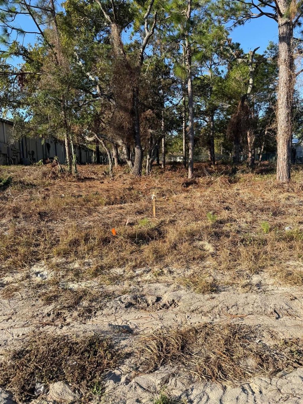 Photo of 13786 Linden Drive, Spring Hill, FL 34609 (MLS # TB8478559)