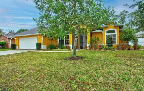 A home in PALM COAST