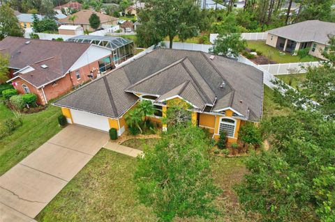 A home in PALM COAST