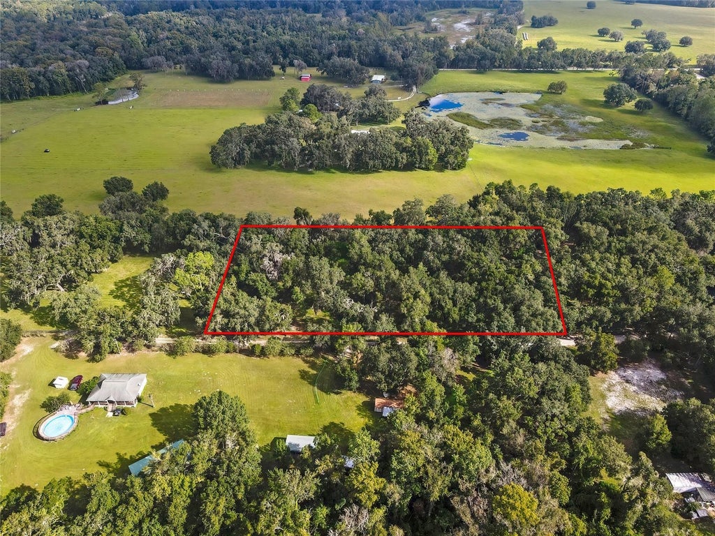 Photo of 17445 Palmer Lane, Spring Hill, FL 34610 (MLS # TB8551270)