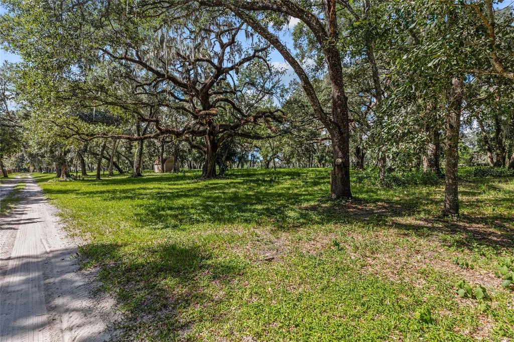 Photo of 17445 Palmer Lane, Spring Hill, FL 34610 (MLS # TB8551270)