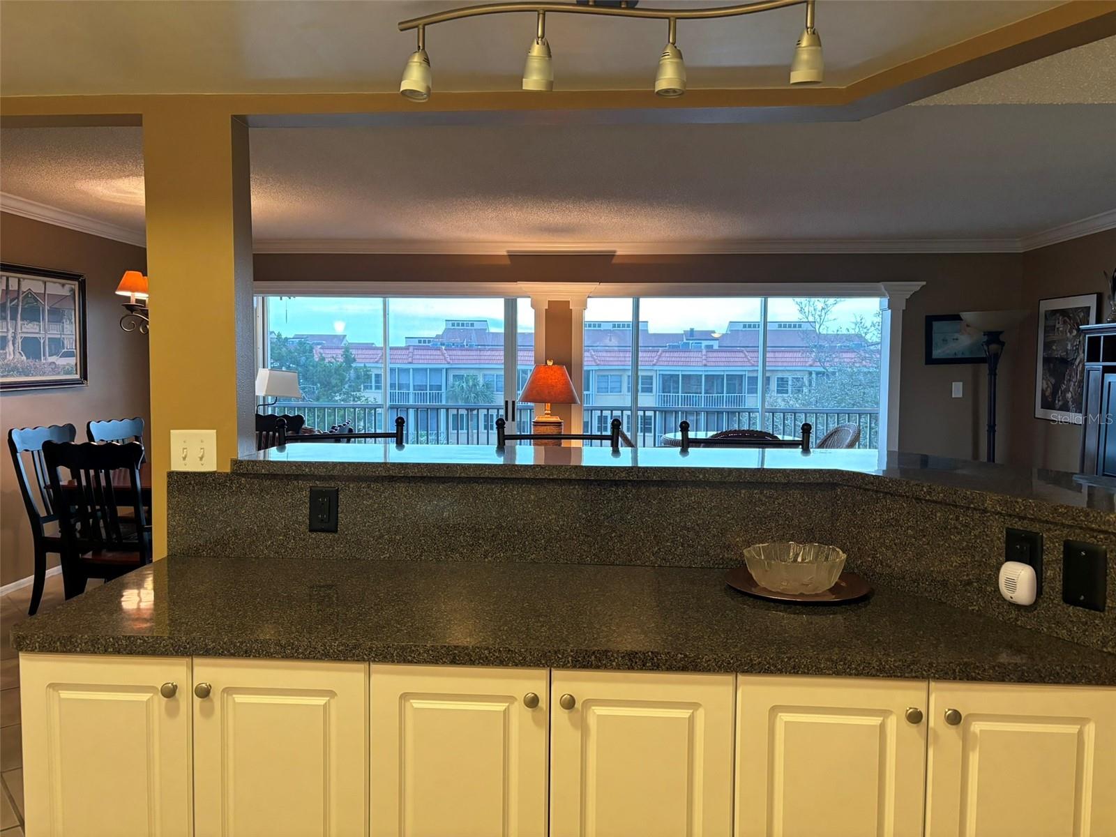 1325 S PORTOFINO DRIVE 309