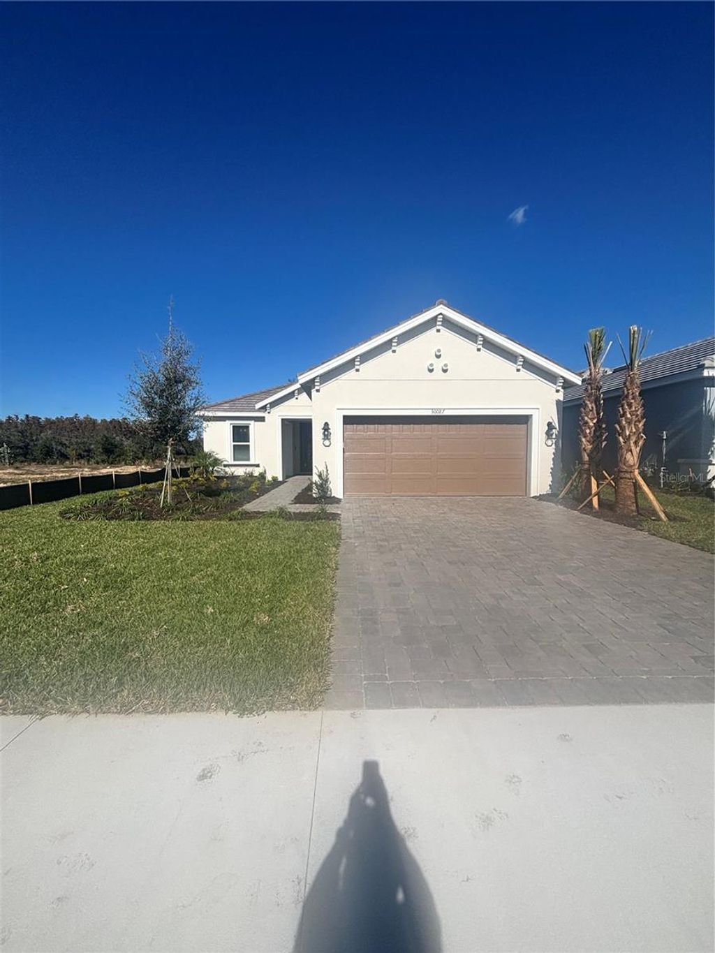 Photo of 30087 Imperati Boulevard, Wesley Chapel, FL 33543 (MLS # TB8461655)