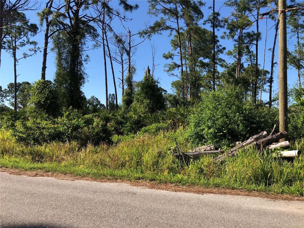 Photo of Dandurand Avenue, North Port, FL 34291 (MLS # C7490561)