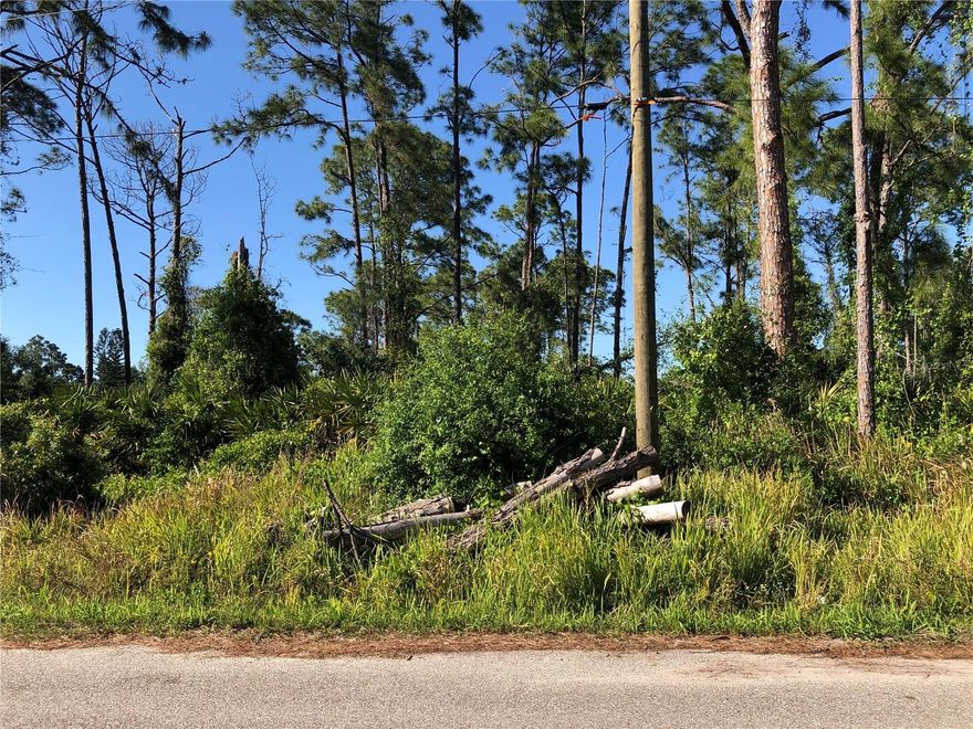 Nice vacant lot east of the interstate, in area of newer homes and North Port Estates.  Close access to I-75 & shopping via Sumter Blvd.  The area is beginning to be developed, so now is the time to buy and build your Florida dream home.