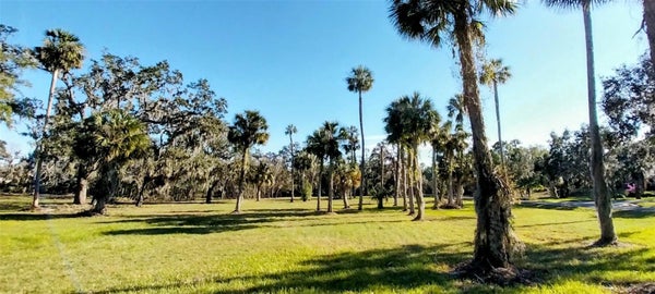 11105 WINN RD, RIVERVIEW, FL 33569 - Image 96dae3a0a5ddef1e2523bc5519fa868d/464264373