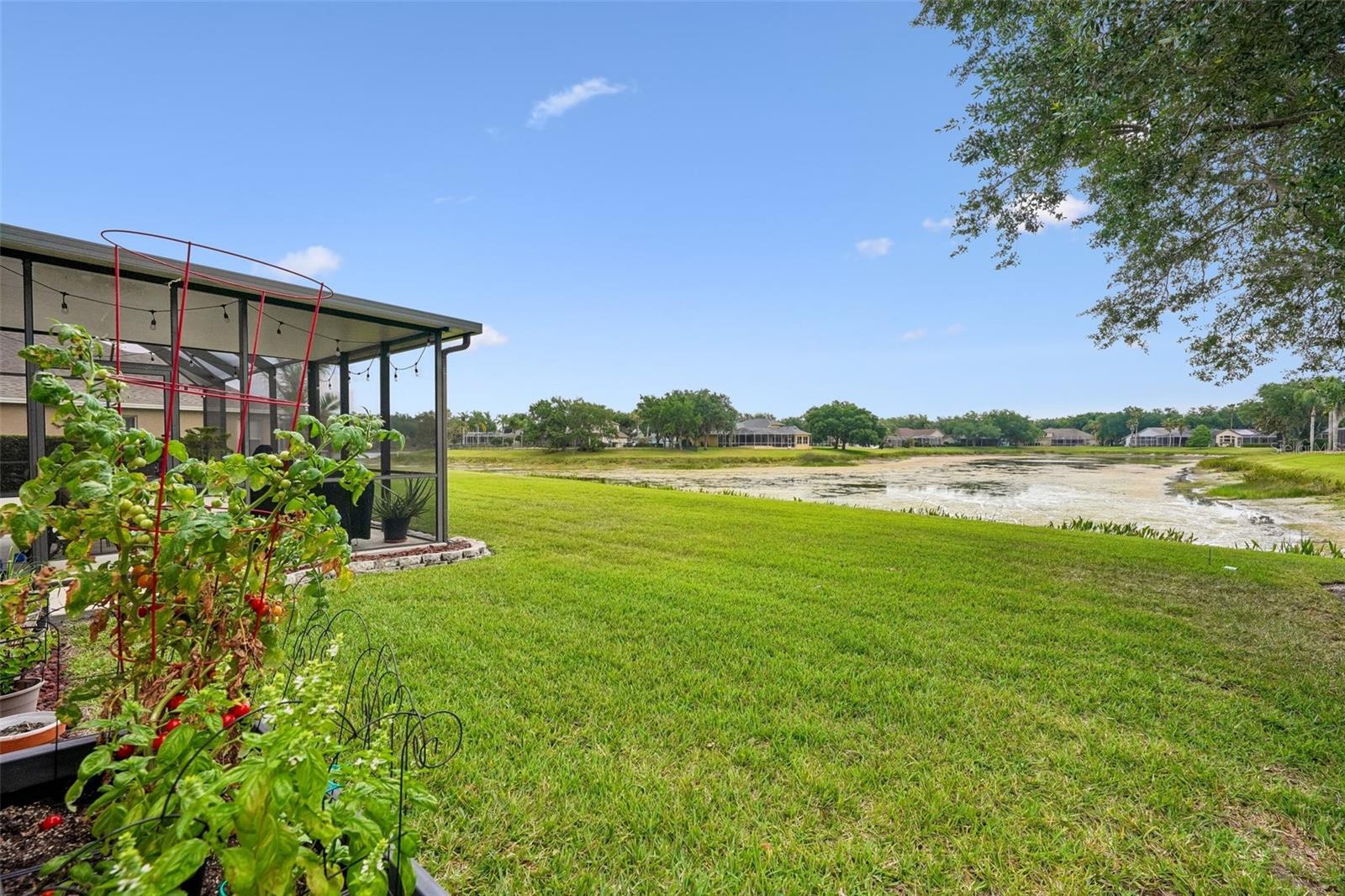 WEST MEADOWS PRCL 6 PH 1 - Residential
