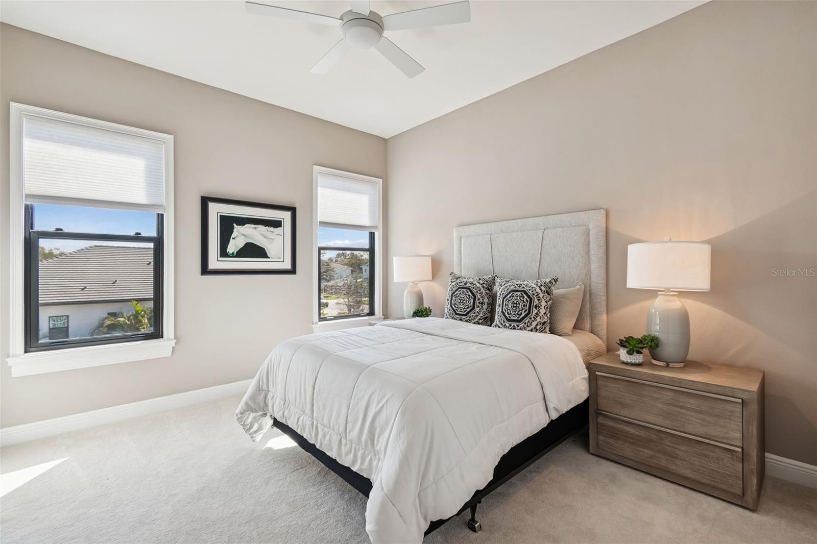 MINNEOLA - Residential