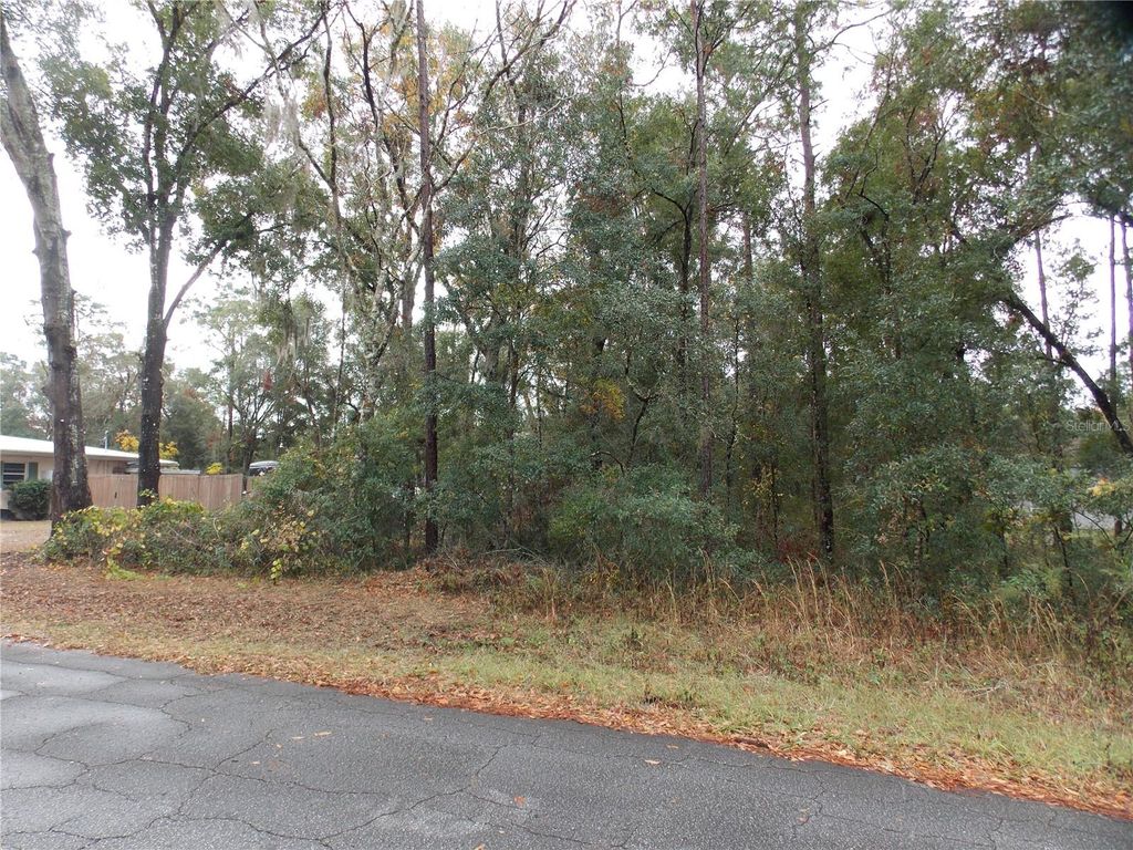 Photo of 6660 E Haynes Lane, Inverness, FL 34452 (MLS # OM691403)