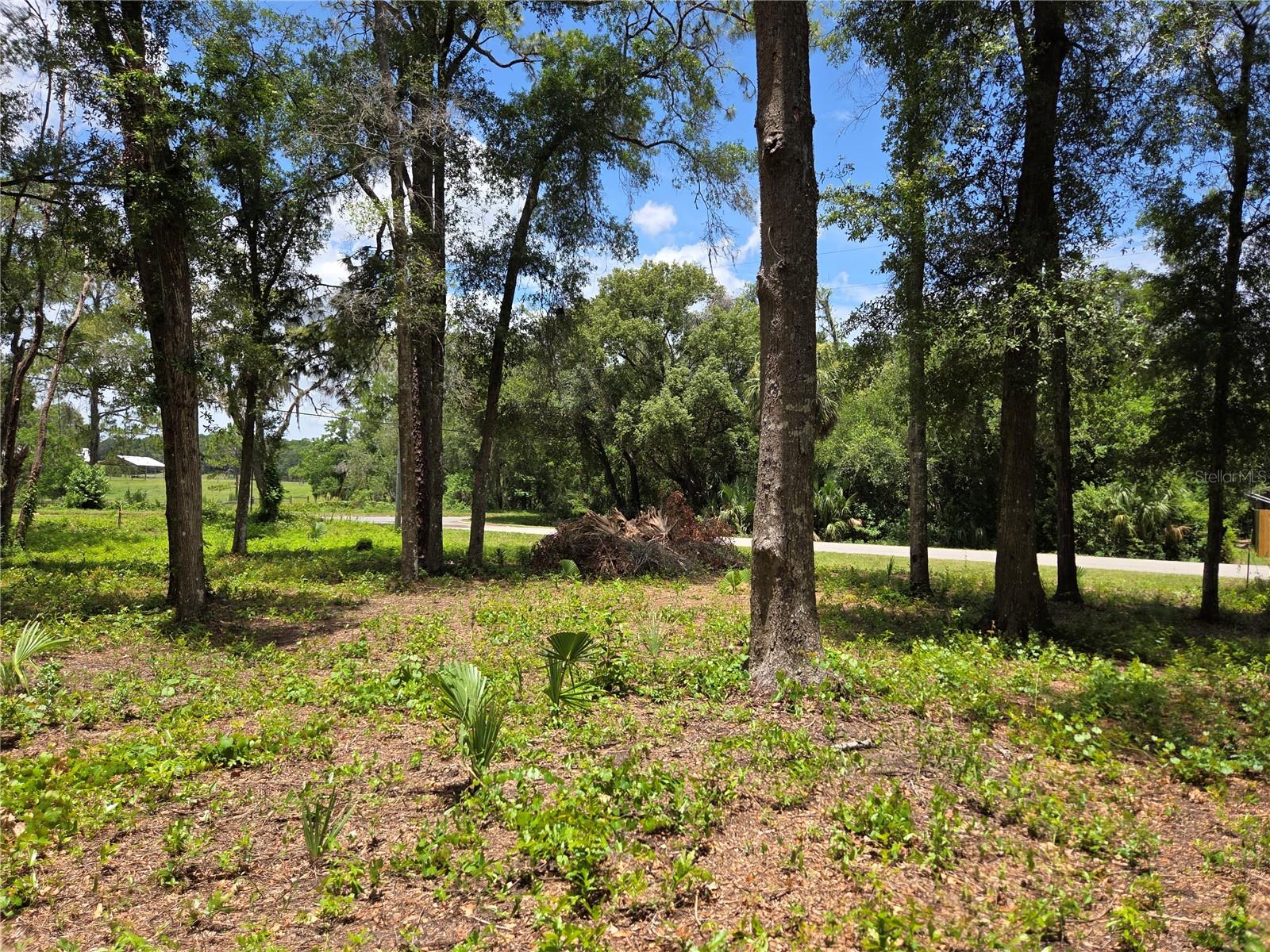 This lot is located in Inverness, Florida, in Citrus County would be a great spot to build a dream home. This location is great if you like plenty of space or to add a fence or other enclosure for privacy. The lot's .22-acre size offers plenty of room for a residence and for parking a boat or RV. For those who like to take their off-roading toys everywhere they go, it's nice to have a place to park them without worry. And there are no HOA or building restrictions on the property. The great location in Inverness also has a plenty things to do. You're close to everything from shopping and banking to hospitals and other medical facilities. Even the local farmers market is close by, and you'll only be a short drive to the historic center of town. Being in Citrus County means there's plenty to explore outdoors. There's plenty of beautiful natural scenery, with parks, lakes, rivers, forests, and even a 46-mile trail. You can enjoy boating, fishing, kayaking, biking, bird watching, and more!