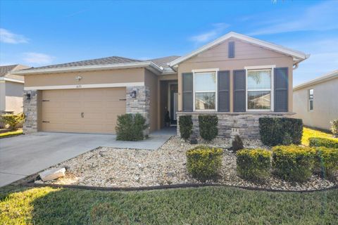 Photo of 4123 Mossy Limb Court, Palmetto, FL 34221 (MLS # N6142707)
