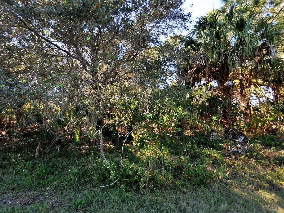 Discover the perfect opportunity to own a pristine 0.24-acre lot in North Port, Sarasota County. Tucked away in a quiet, friendly neighborhood, this property offers a rare combination of peace and convenience--just minutes from shopping, dining, top-rated schools, and major attractions. Nature lovers will appreciate the nearby Warm Mineral Springs Park and Myakka River State Park, while the area's rich cultural scene adds to its appeal. North Port is a thriving community known for excellent healthcare, modern amenities, and strong growth potential--making it an ideal spot to build your dream home or make a smart investment. With a prime location and promising future value, this Gulf Coast gem won't last long. Secure your slice of Florida today! Owner Financing Available.