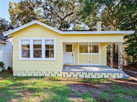 3336 CARLISLE AVENUE S ST PETERSBURG FL 33712