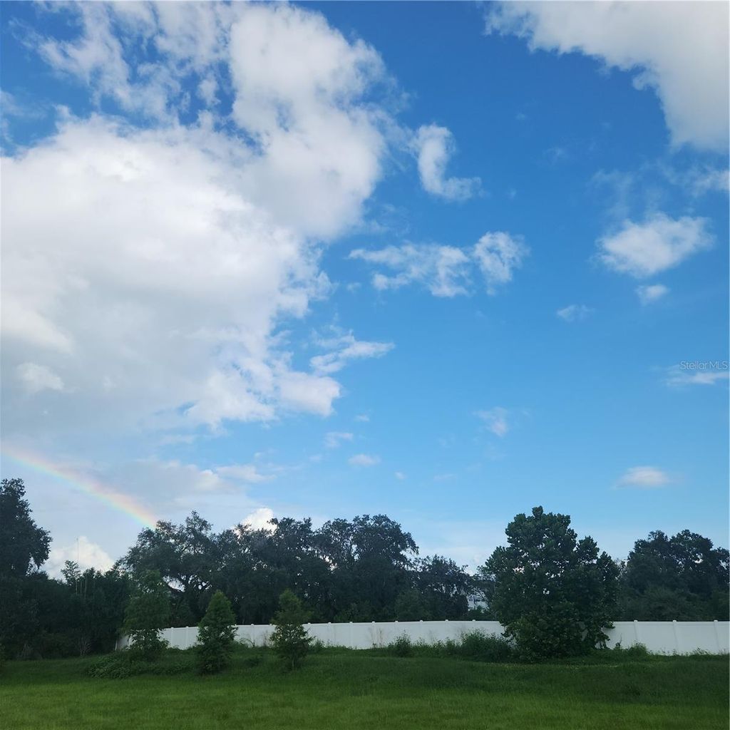 Photo of 4137 New River Rd, Zephyrhills, FL 33542 (MLS # TB8404619)
