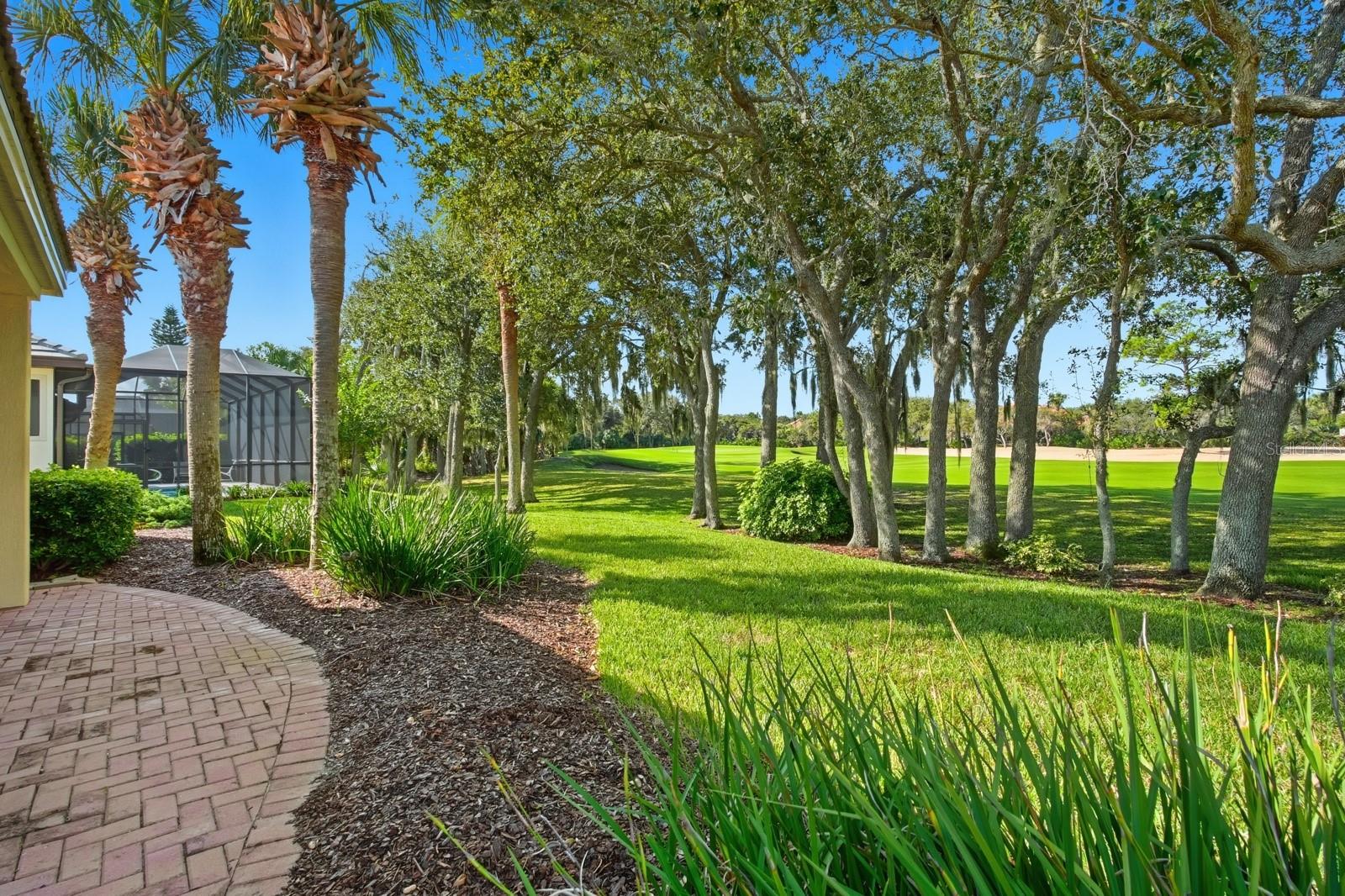 OCEAN HAMMOCK - Residential