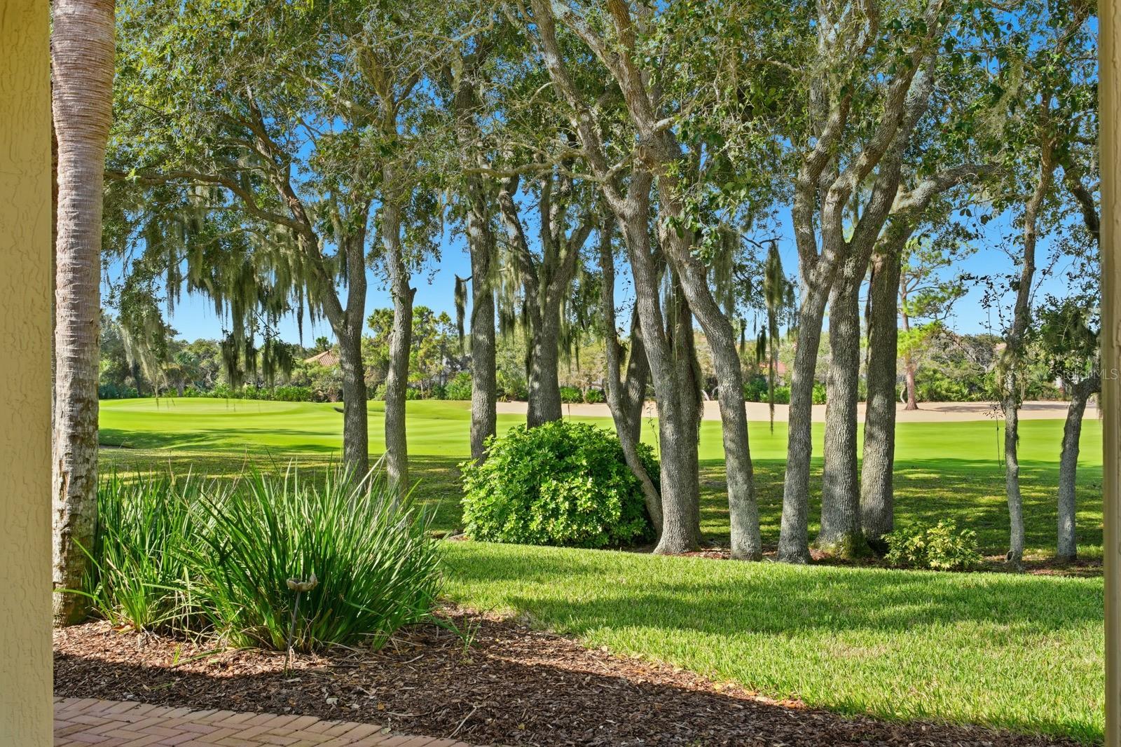 OCEAN HAMMOCK - Residential