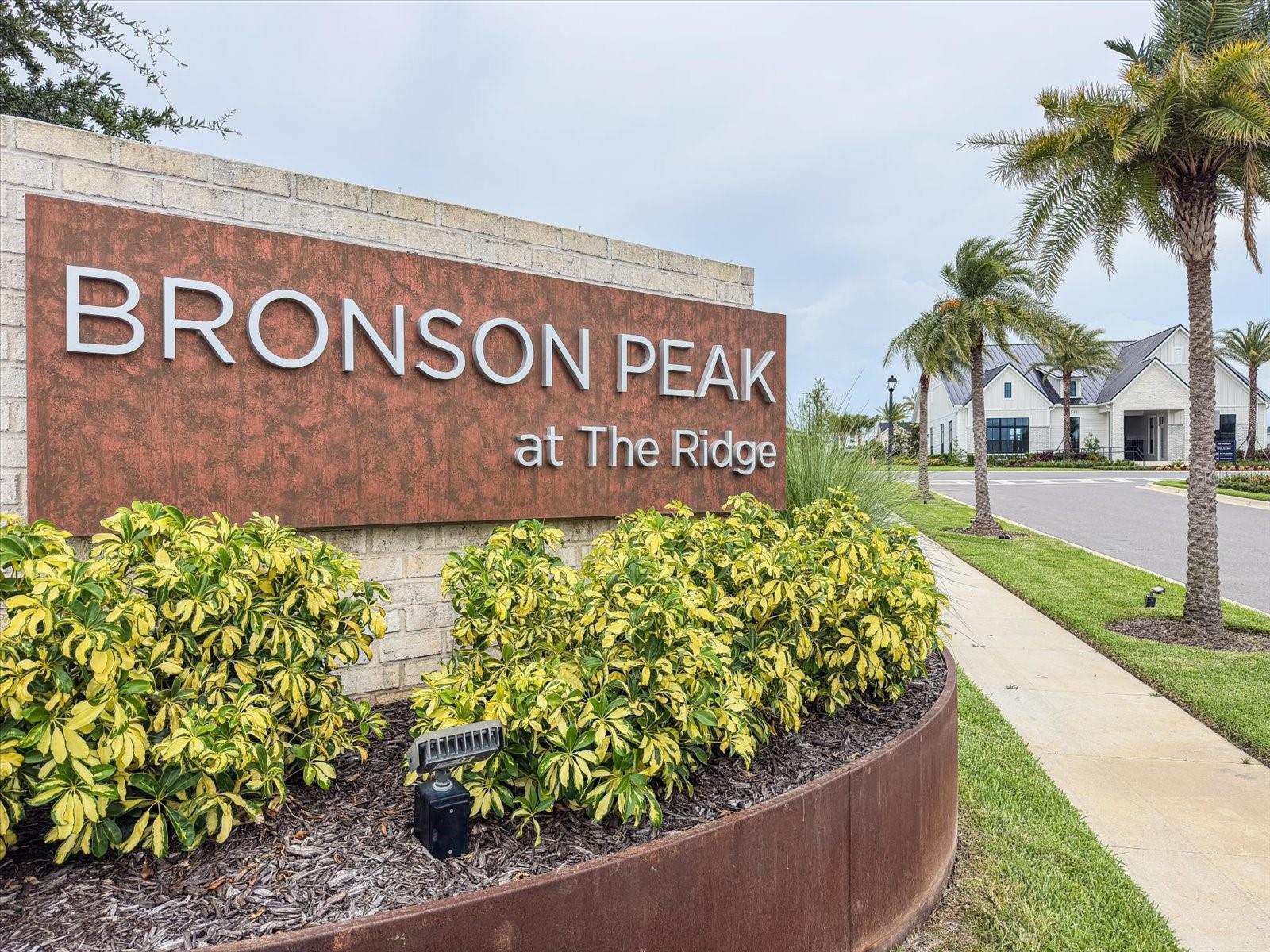 BRONSON PEAK PH 1C - Residential Lease