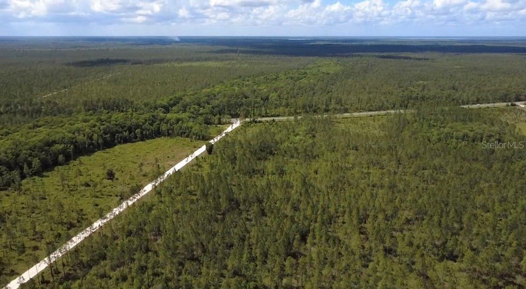 Photo of Wild Cur Road, Pierson, FL 32180 (MLS # TB8561863)