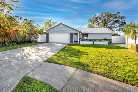 A home in SEMINOLE