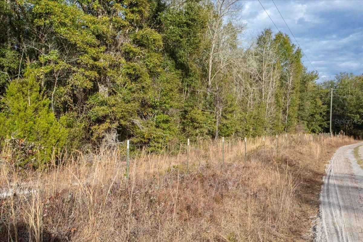 OLD WIRE FOREST SUB - Land