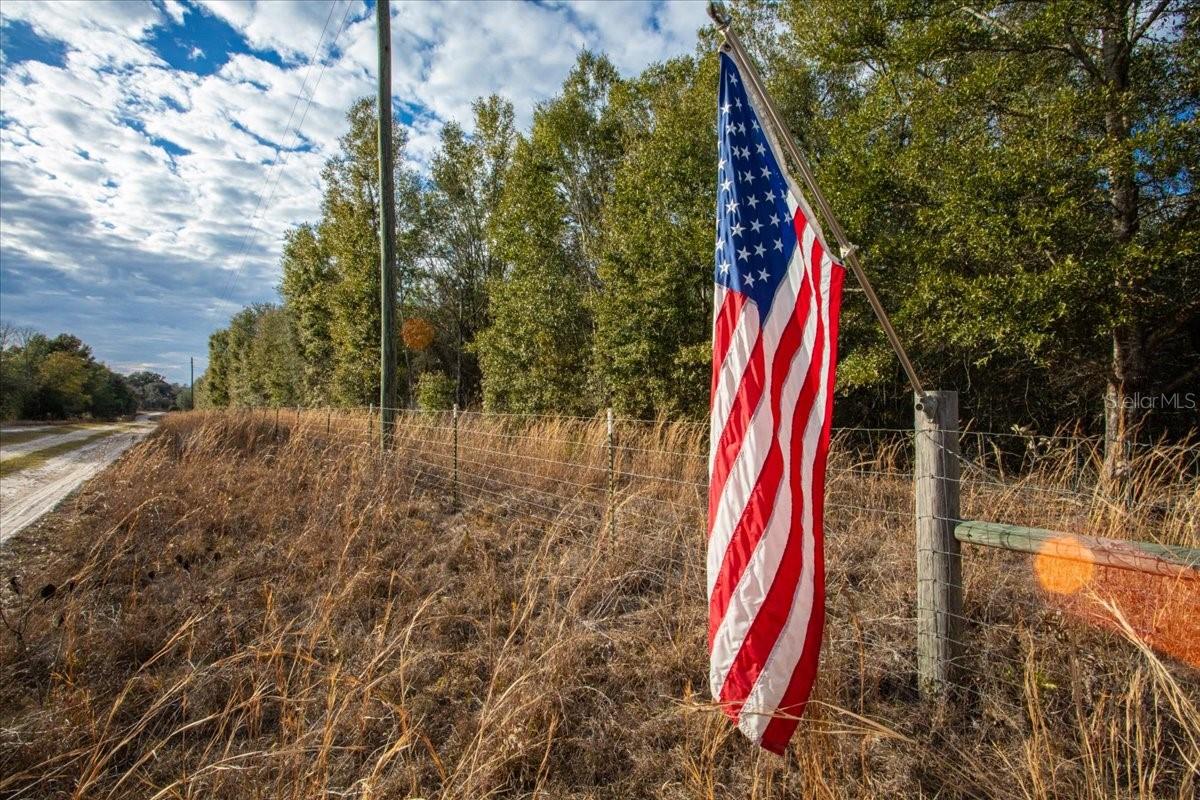 OLD WIRE FOREST SUB - Land