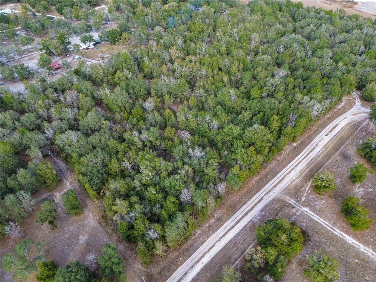 OLD WIRE FOREST SUB - Land