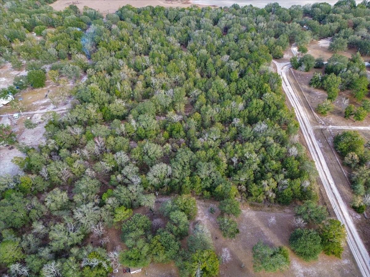 OLD WIRE FOREST SUB - Land