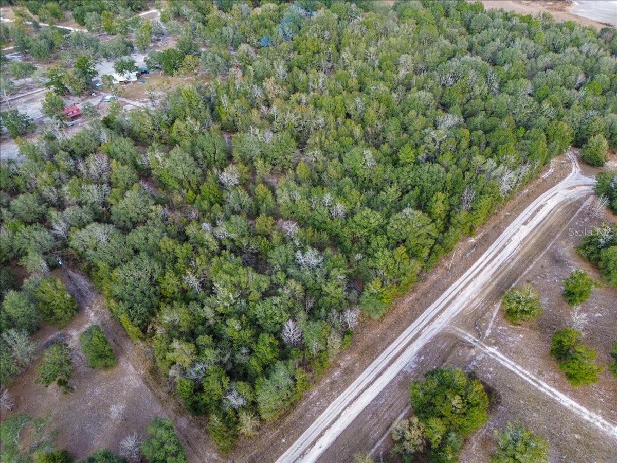 OLD WIRE FOREST SUB - Land