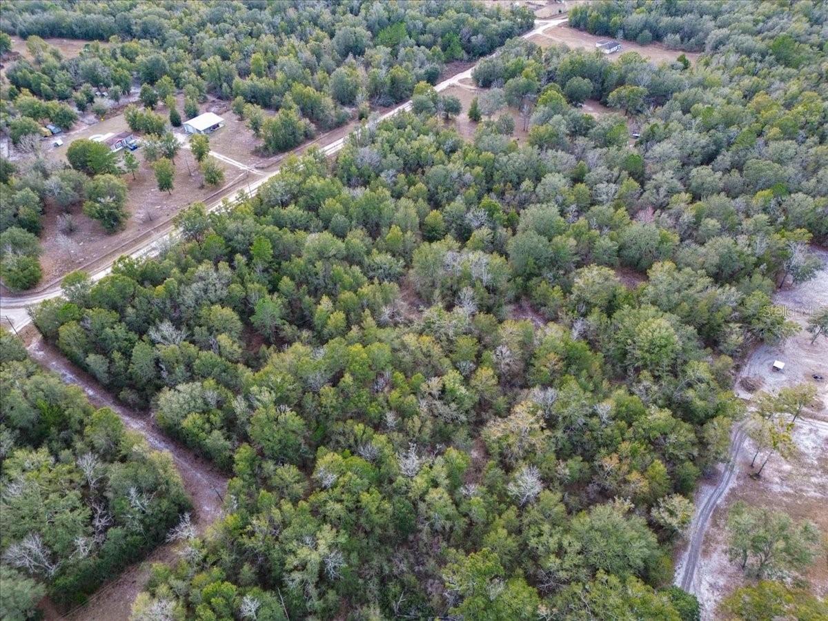 OLD WIRE FOREST SUB - Land