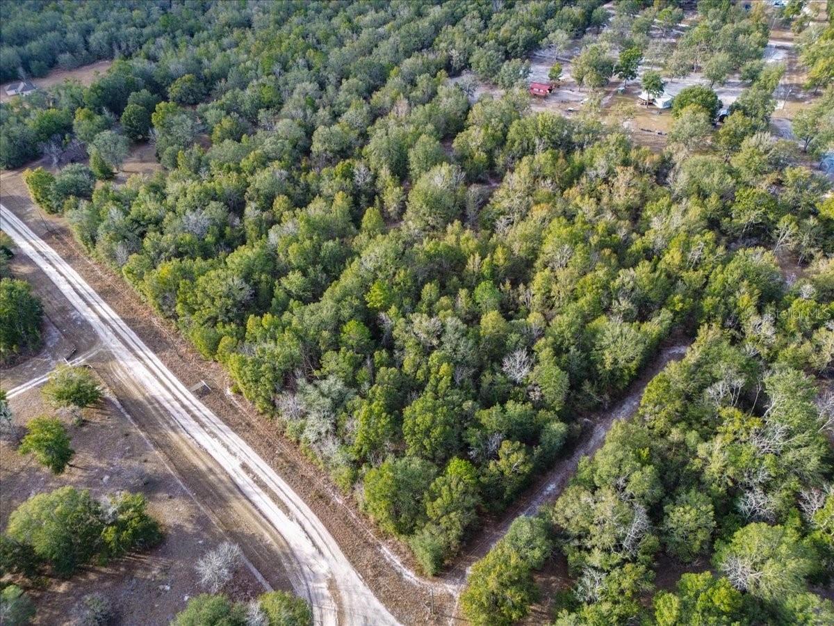 OLD WIRE FOREST SUB - Land