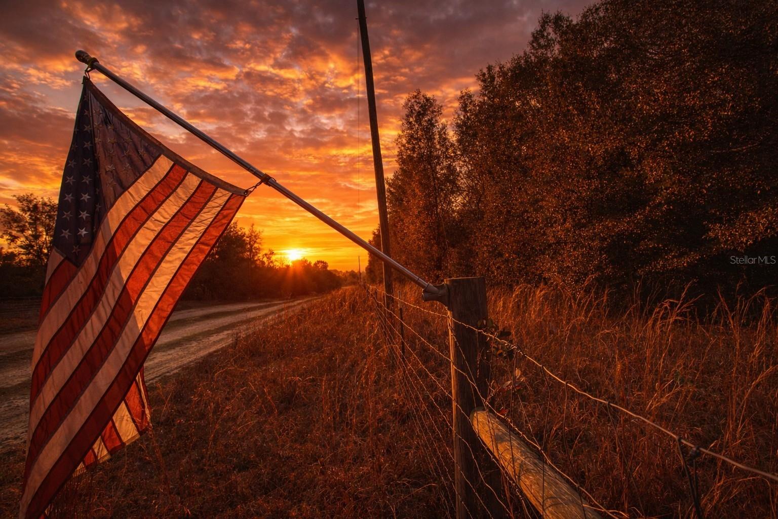 OLD WIRE FOREST SUB - Land