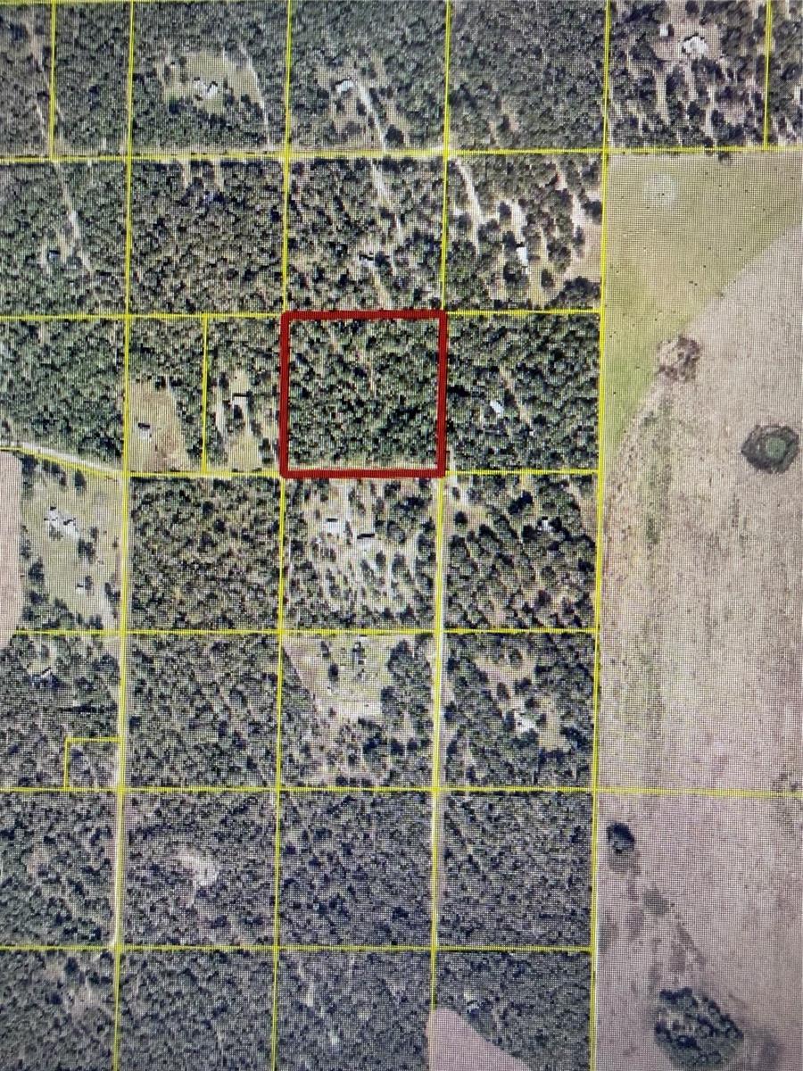 OLD WIRE FOREST SUB - Land