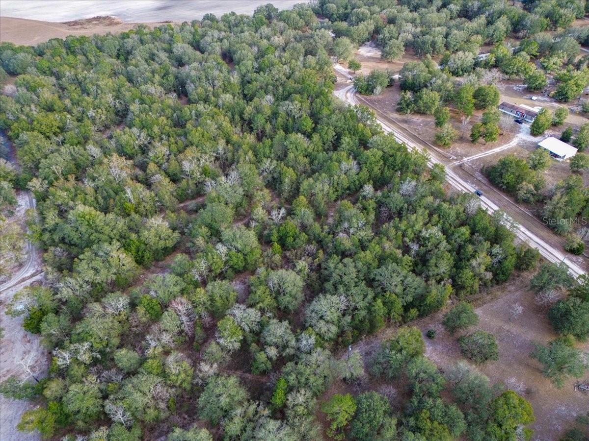 OLD WIRE FOREST SUB - Land