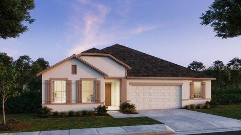 11435 PETREL AVENUE WEEKI WACHEE FL 34614