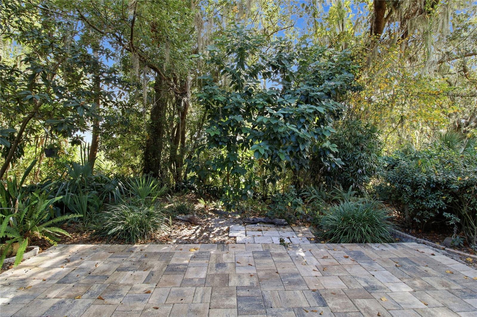 BLUFFS CHRISTINA 01 - Residential