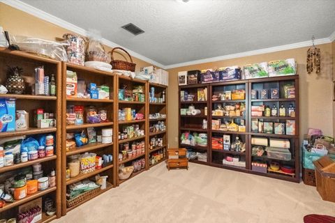 Tiny photo for 4345 Corley Island Road, Leesburg, FL 34748 (MLS # G5104166)