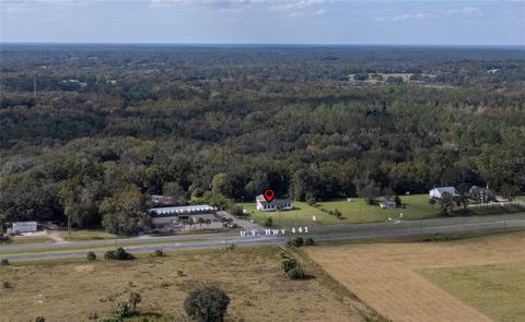 Tiny photo for 20030 N Us Highway 441, Micanopy, FL 32667 (MLS # GC525996)