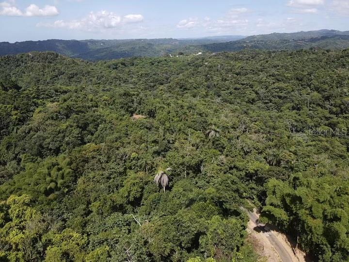 Road PR-140 km 34.2 BARRIO DON ALONSO