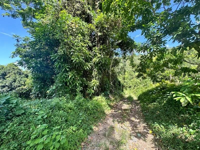 Road PR-140 km 34.2 BARRIO DON ALONSO