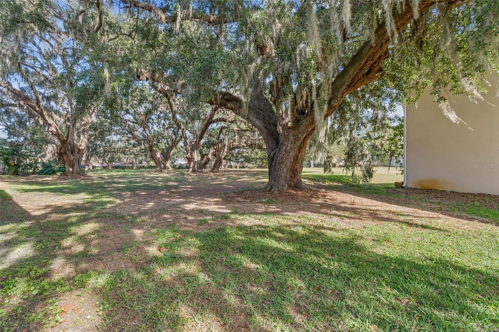 MEADOW POINTE 03 PRCL UU - Residential