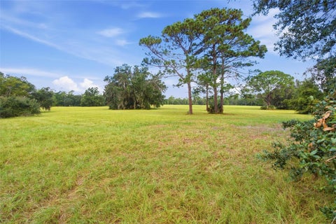 Tiny photo for 29025 SE 150th Street, Altoona, FL 32702 (MLS # G5118435)