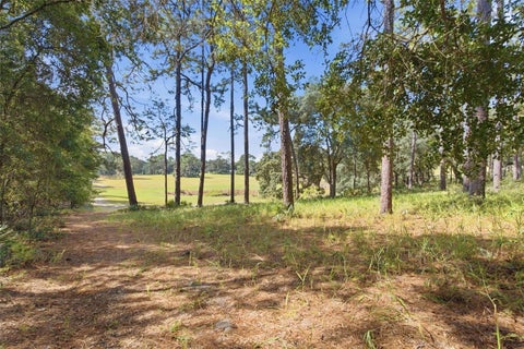 Tiny photo for 29025 SE 150th Street, Altoona, FL 32702 (MLS # G5118435)
