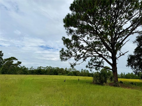 Tiny photo for 29025 SE 150th Street, Altoona, FL 32702 (MLS # G5118435)